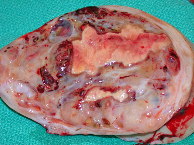 Path Image