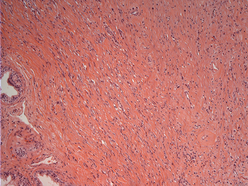 Path Image